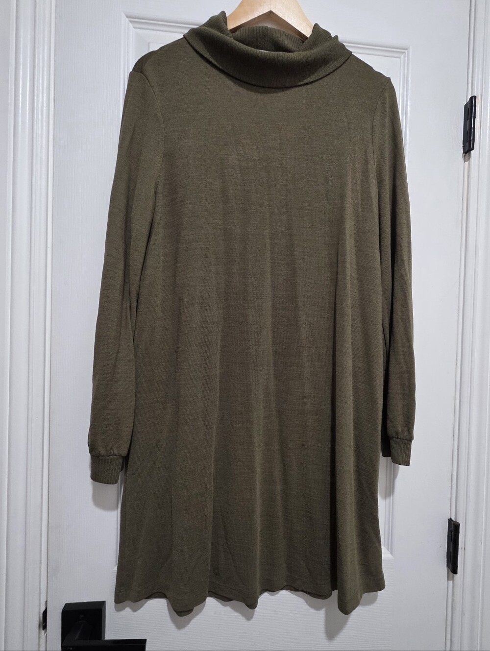 GAP Olive Turtleneck Longsleeve Dress